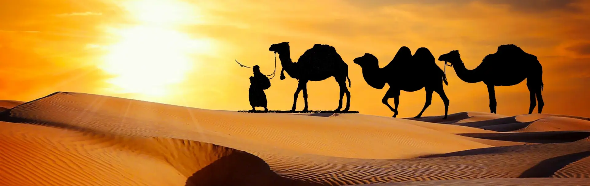 Camel Safari Tourism in Rajasthan