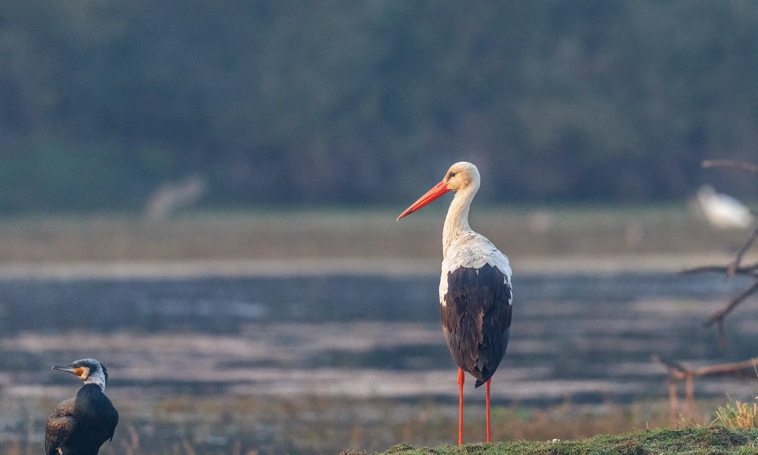 Bharatpur-Best Places to Visit in Rajasthan