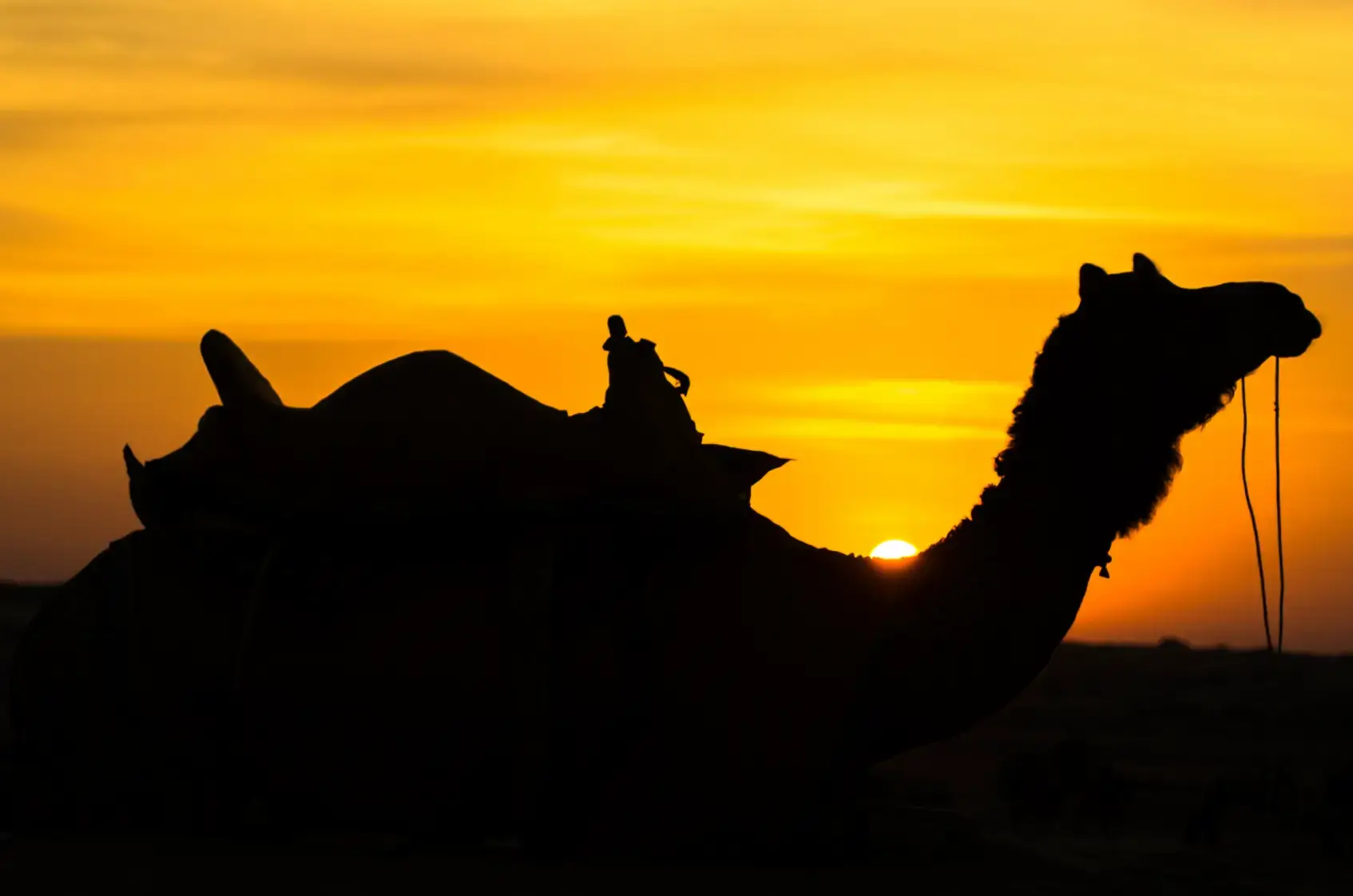 Best Time to Visit Jaisalmer