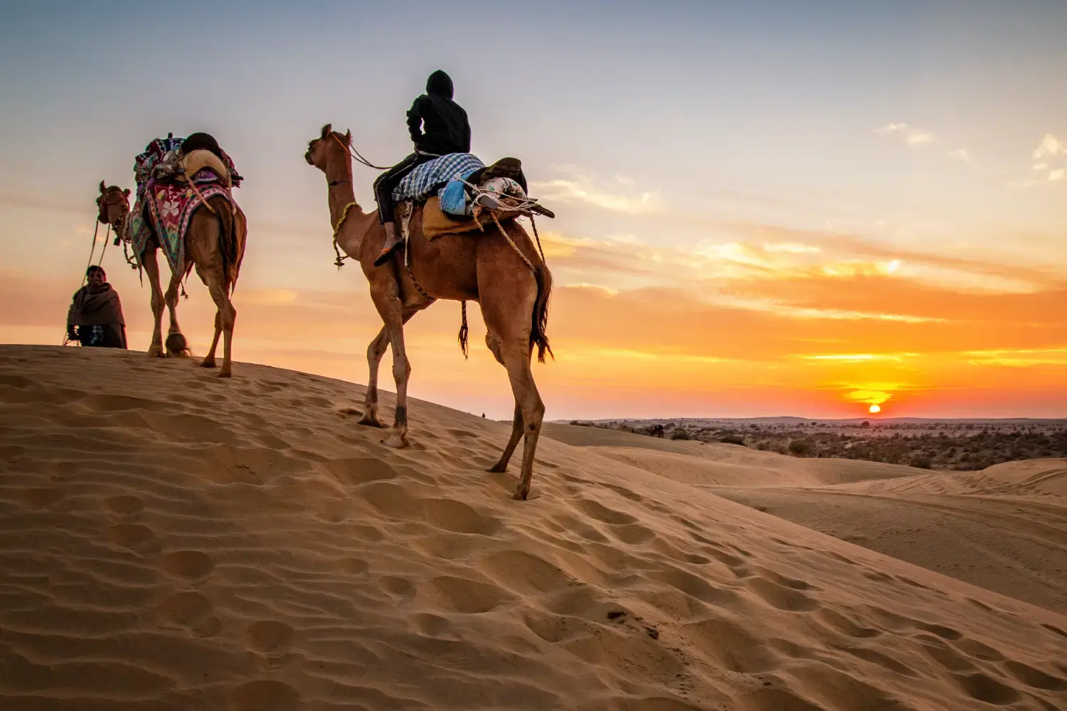 Rajasthan Camel Safari