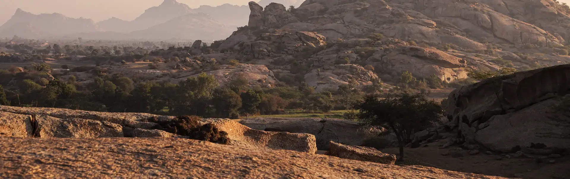 Jawai Leopard Sanctuary