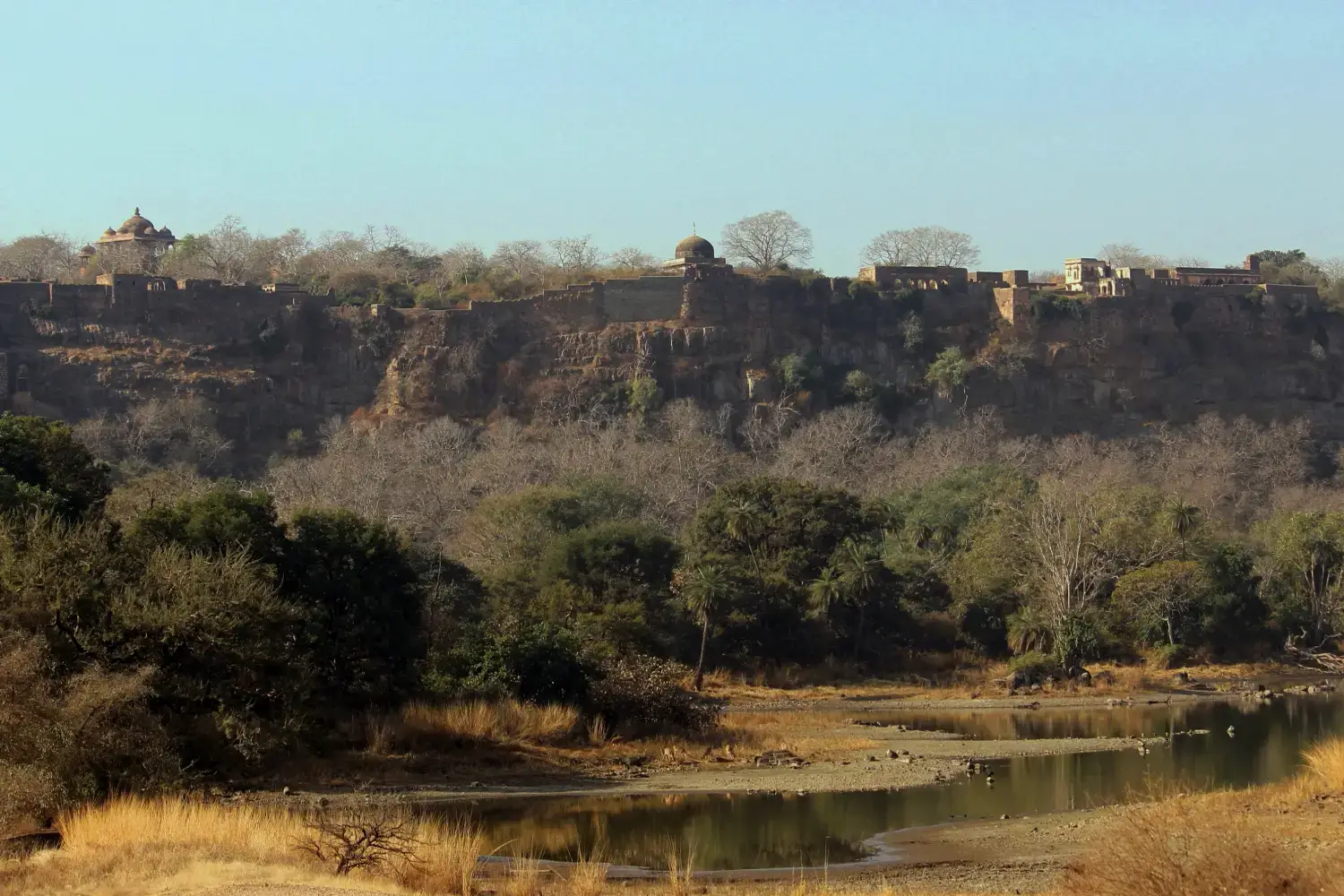 Best Time to Visit Ranthambore